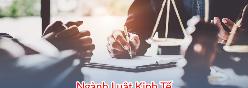 Ngành luật kinh tế 88vv11 mấy năm, thi khối gì, ra trường làm gì, lấy bao nhiêu điểm