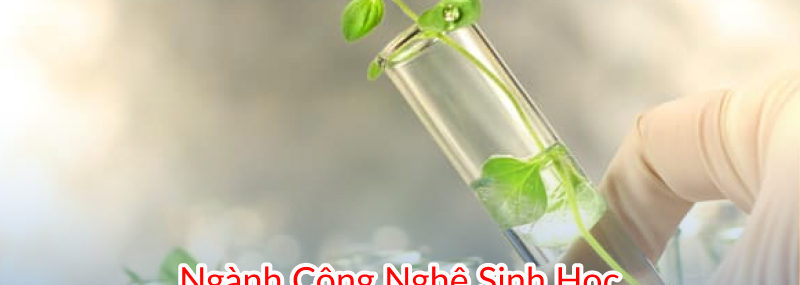 ngành công nghệ sinh học 88vv11 mấy năm, thi khối gì, ra trường làm gì, lấy bao nhiêu điểm