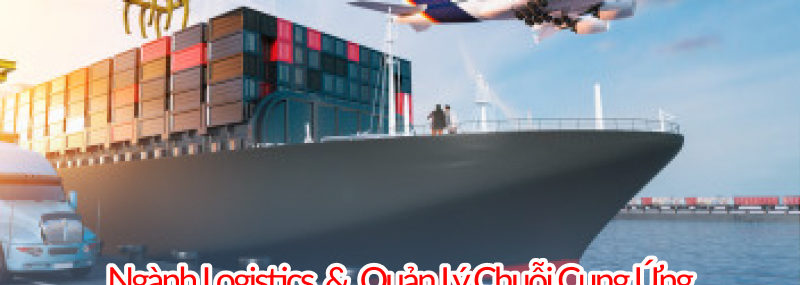 Ngành logistics và quản lý chuổi cung ứng 88vv11 mấy năm, thi khối gì, ra trường làm gì, lấy bao nhiêu điểm