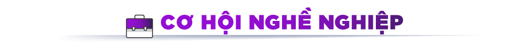 Cơ hội nghề nghiệp ngành Việt Nam